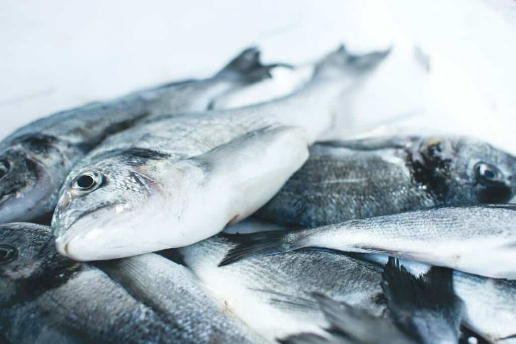 Is Eating Fish Good For You?